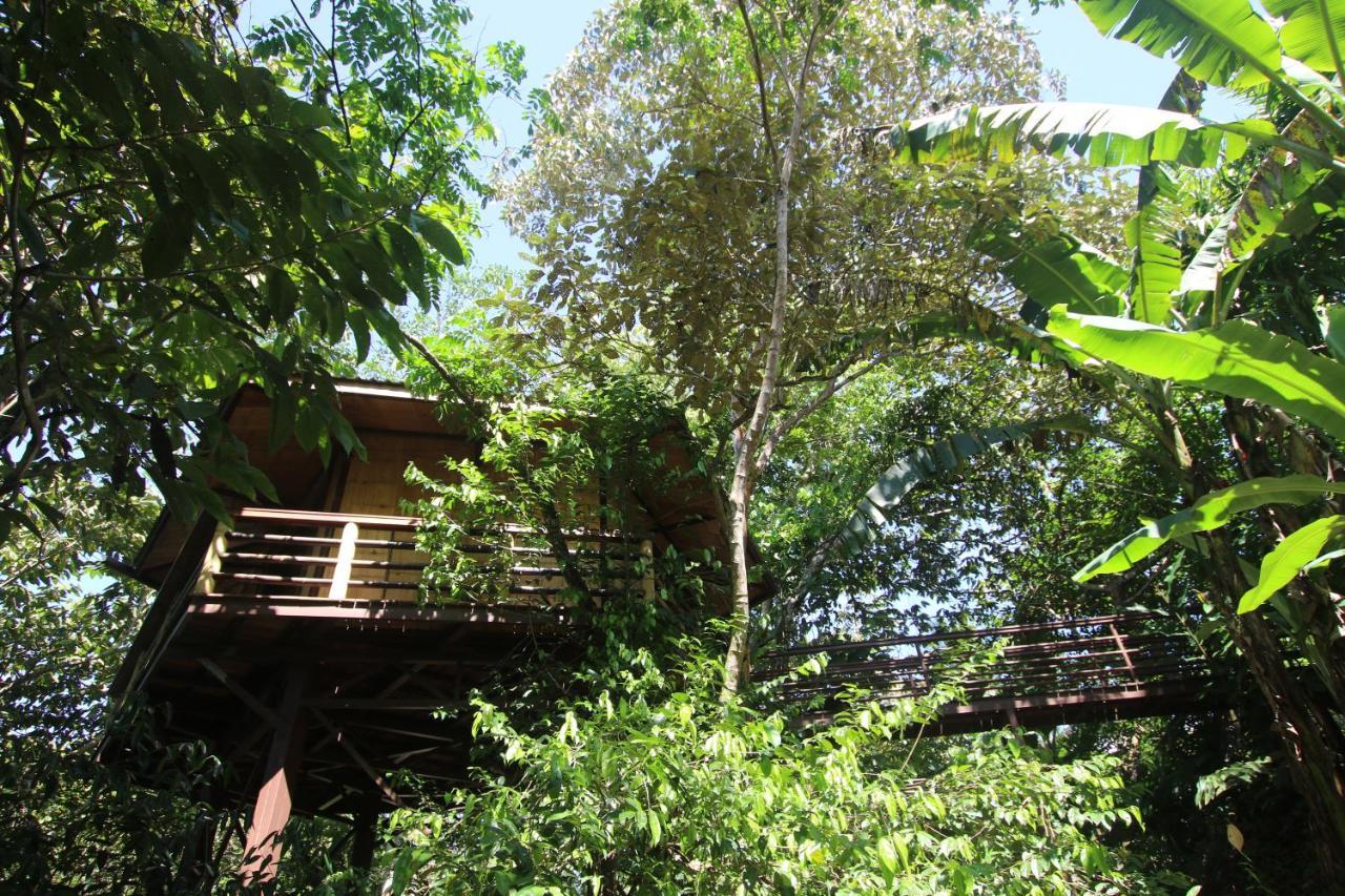 Treehouse Pilon Pavones Villa Pavones  Dış mekan fotoğraf