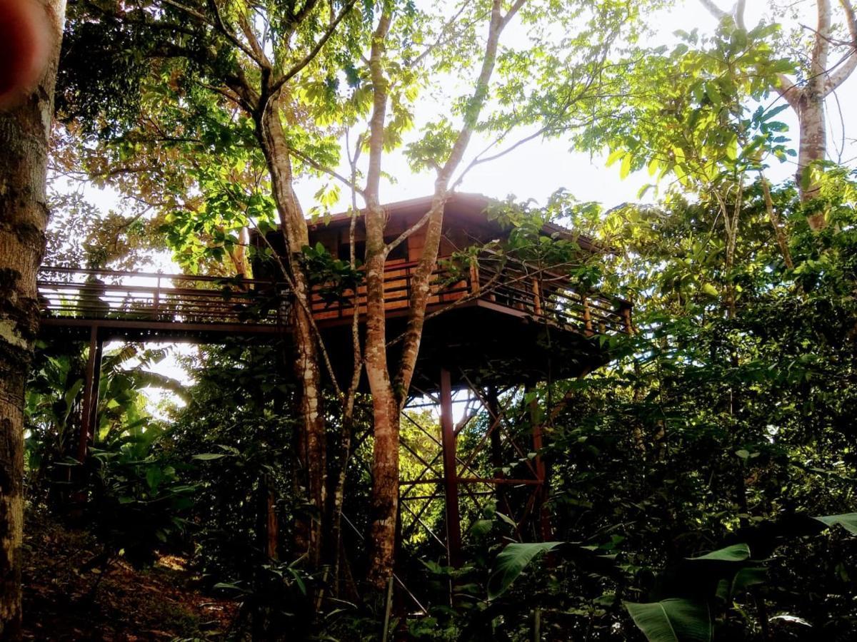 Treehouse Pilon Pavones Villa Pavones  Dış mekan fotoğraf