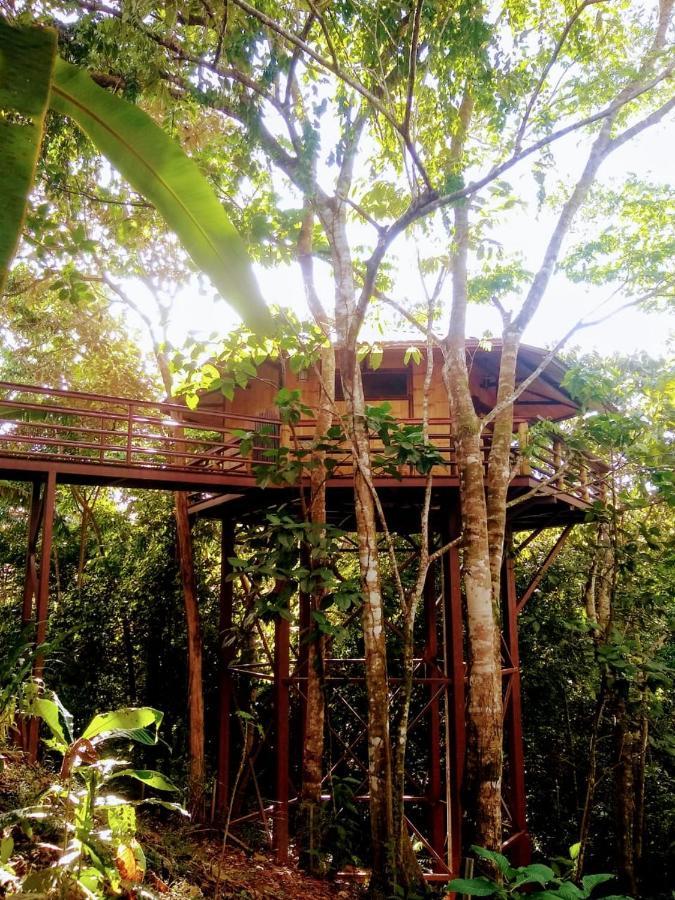 Treehouse Pilon Pavones Villa Pavones  Dış mekan fotoğraf