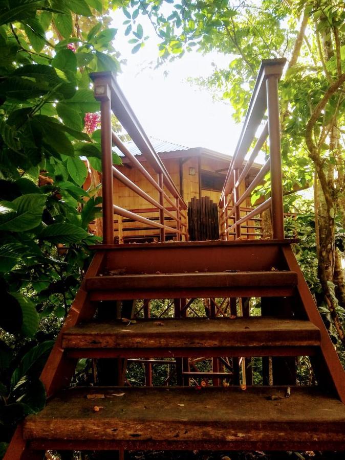 Treehouse Pilon Pavones Villa Pavones  Dış mekan fotoğraf