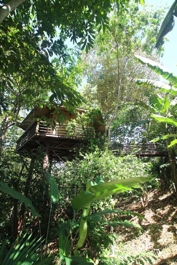 Treehouse Pilon Pavones Villa Pavones  Dış mekan fotoğraf