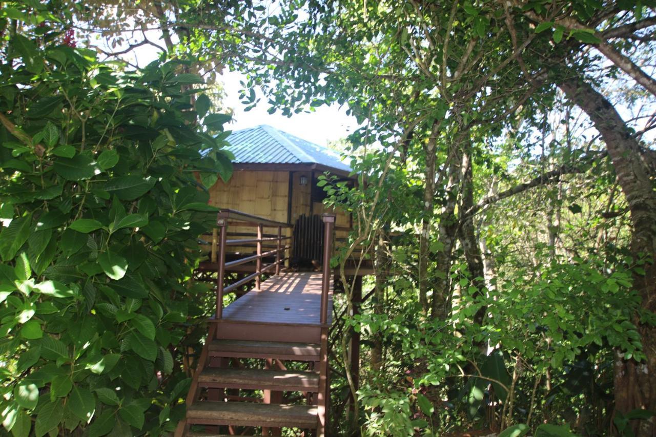 Treehouse Pilon Pavones Villa Pavones  Dış mekan fotoğraf
