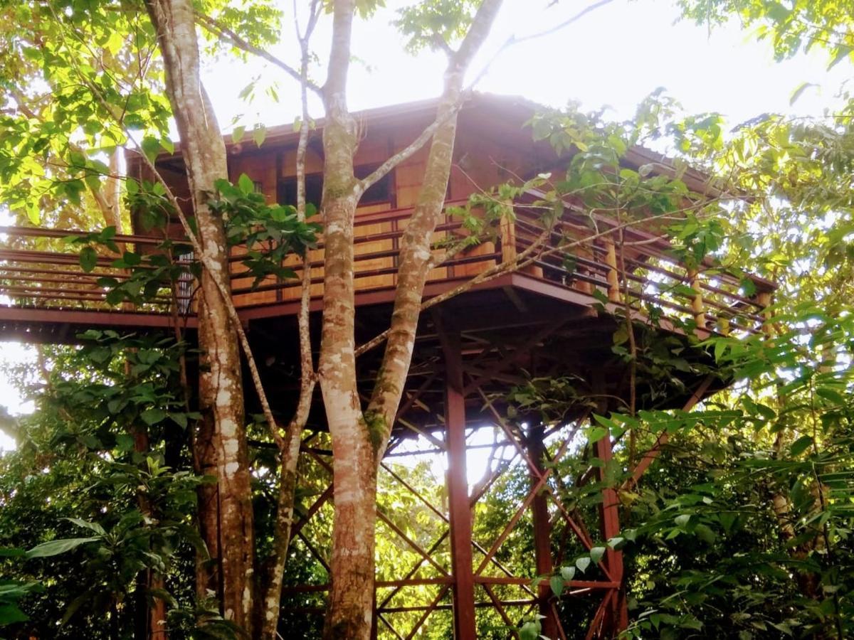 Treehouse Pilon Pavones Villa Pavones  Dış mekan fotoğraf