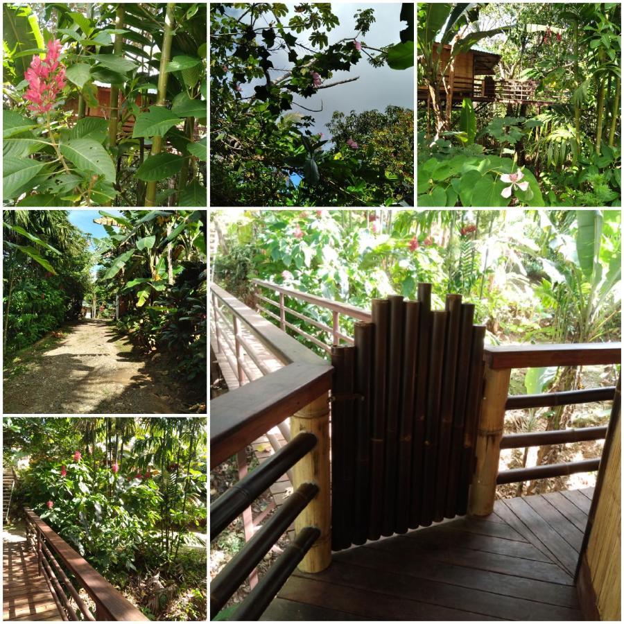 Treehouse Pilon Pavones Villa Pavones  Dış mekan fotoğraf